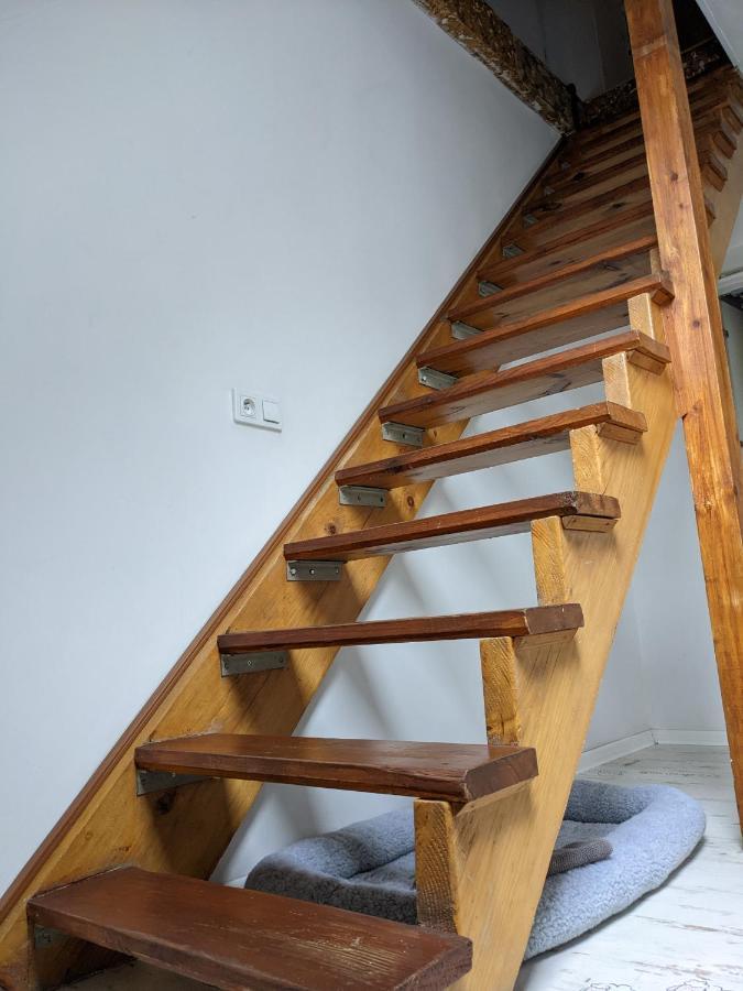 Apartament Lux-Centrum Gliwice Ngoại thất bức ảnh